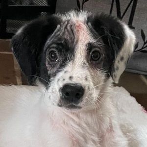 Meet your Posher, Trisha